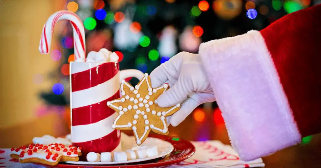 How-to-Leave-Santa-Tracks-Milk-Cookies-Christmas-Eve