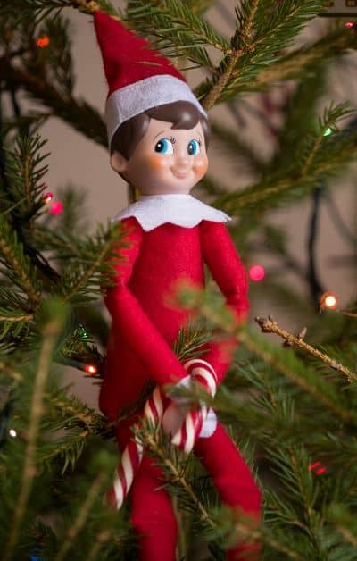 Elf on the shelf in Christmas tree