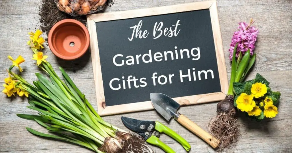 Top Gardening Gifts for Him - Open for Christmas