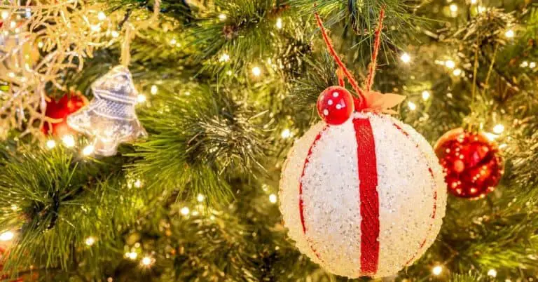 What Does A Christmas Tree Represent?  Open for Christmas