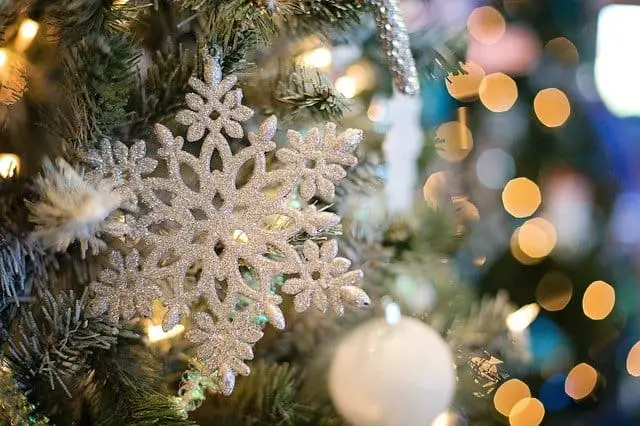 snowflake-on-a-christmas-tree